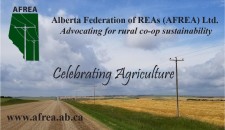 Advocating for rural co-op sustainability