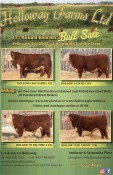 Holloway Farms Ltd 13th Annual Rancher's Bulls Sale